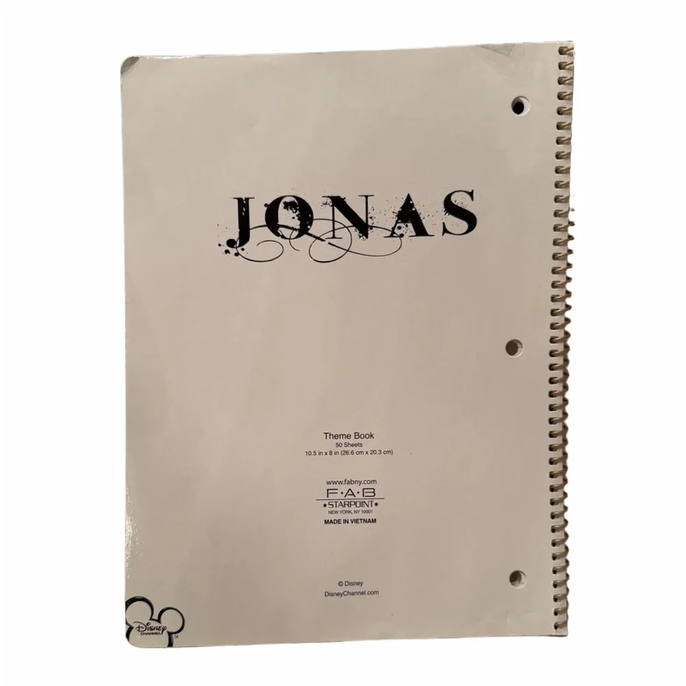 Disney jonas brothers